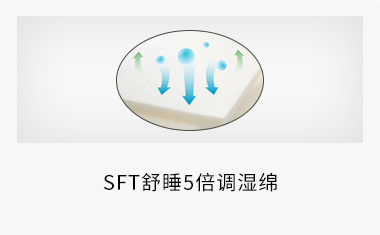 SFT舒睡5倍调湿绵